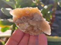 Natural Golden Limonite Spirit Quartz Clusters x 12 From Boekenhouthoek, South Africa - Toprock Gemstones and Minerals 