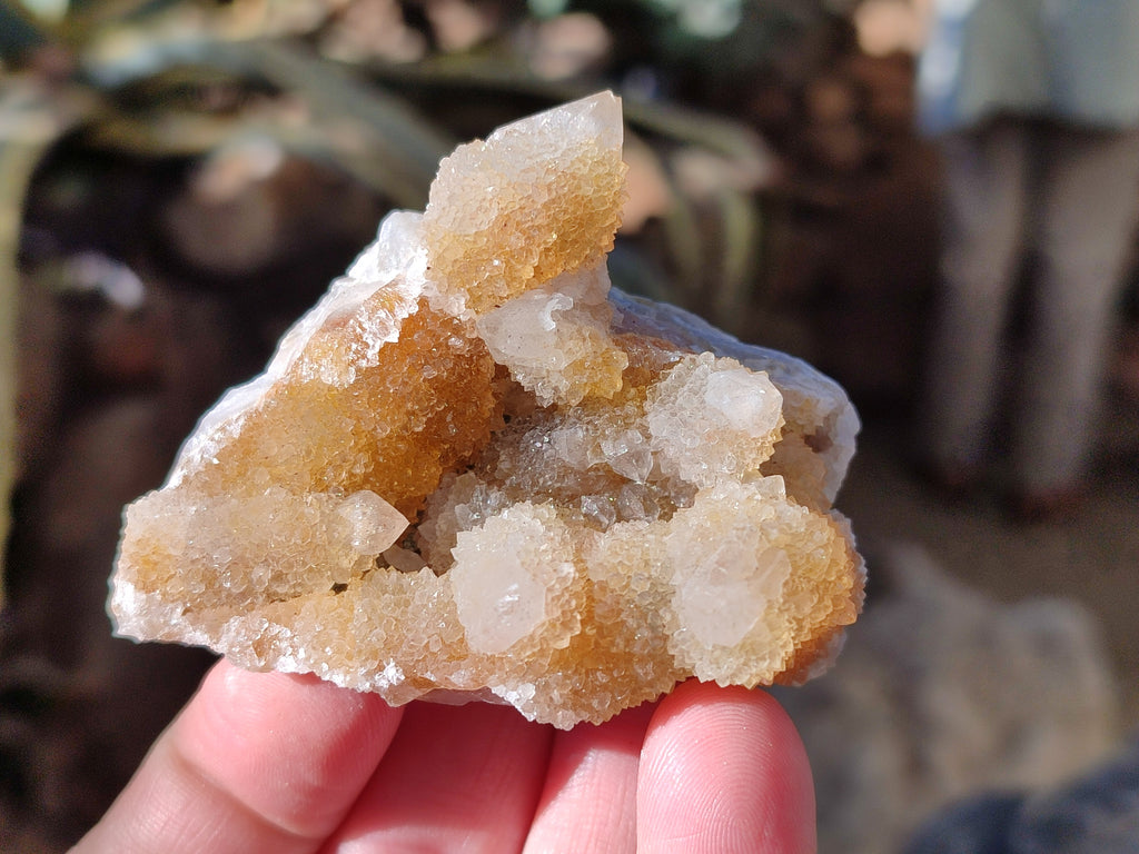 Natural Golden Limonite Spirit Quartz Clusters x 12 From Boekenhouthoek, South Africa - Toprock Gemstones and Minerals 