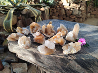 Natural Golden Limonite Spirit Quartz Clusters x 12 From Boekenhouthoek, South Africa - Toprock Gemstones and Minerals 