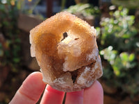 Natural Golden Limonite Spirit Quartz Clusters x 12 From Boekenhouthoek, South Africa - Toprock Gemstones and Minerals 