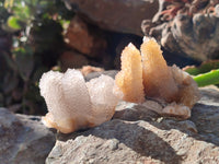 Natural Golden Limonite Spirit Quartz Clusters x 12 From Boekenhouthoek, South Africa - Toprock Gemstones and Minerals 