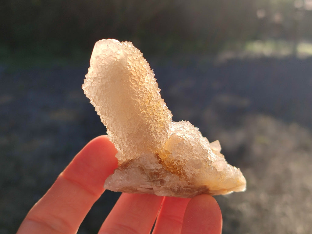 Natural Golden Limonite Spirit Quartz Clusters x 12 From Boekenhouthoek, South Africa - Toprock Gemstones and Minerals 