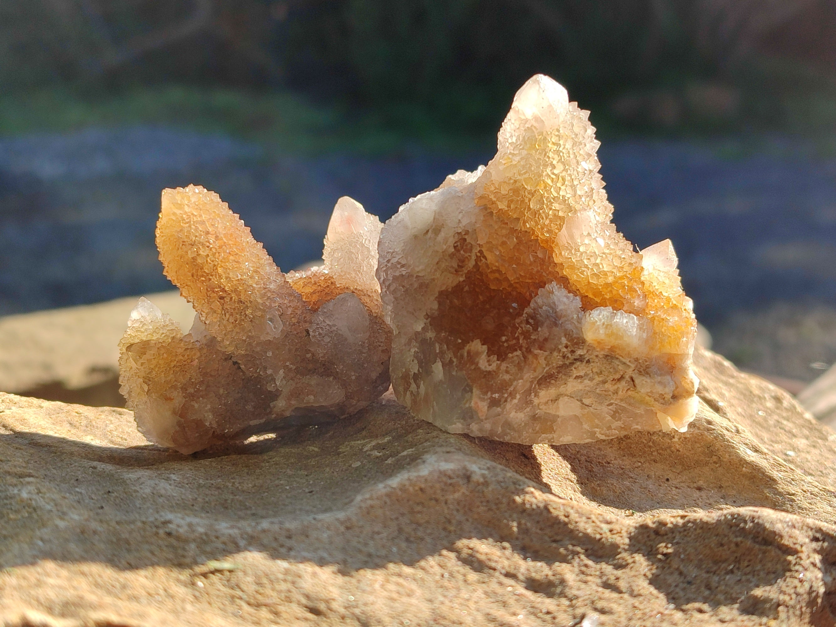 Natural Golden Limonite Spirit Quartz Clusters x 12 From Boekenhouthoek, South Africa - Toprock Gemstones and Minerals 