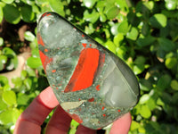 Polished Bloodstone Standing Free Forms x 3 From Swaziland