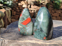 Polished Bloodstone Standing Free Forms x 3 From Swaziland