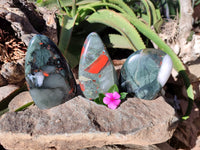 Polished Bloodstone Standing Free Forms x 3 From Swaziland