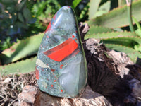 Polished Bloodstone Standing Free Forms x 3 From Swaziland