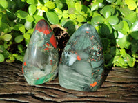 Polished Bloodstone Standing Free Forms x 3 From Swaziland