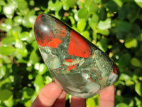 Polished Bloodstone Standing Free Forms x 3 From Swaziland
