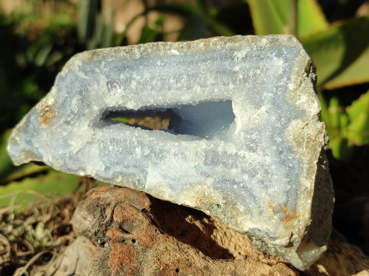 Natural Blue Lace Agate Geode Specimens x 2 From Nsanje, Malawi - Toprock Gemstones and Minerals 