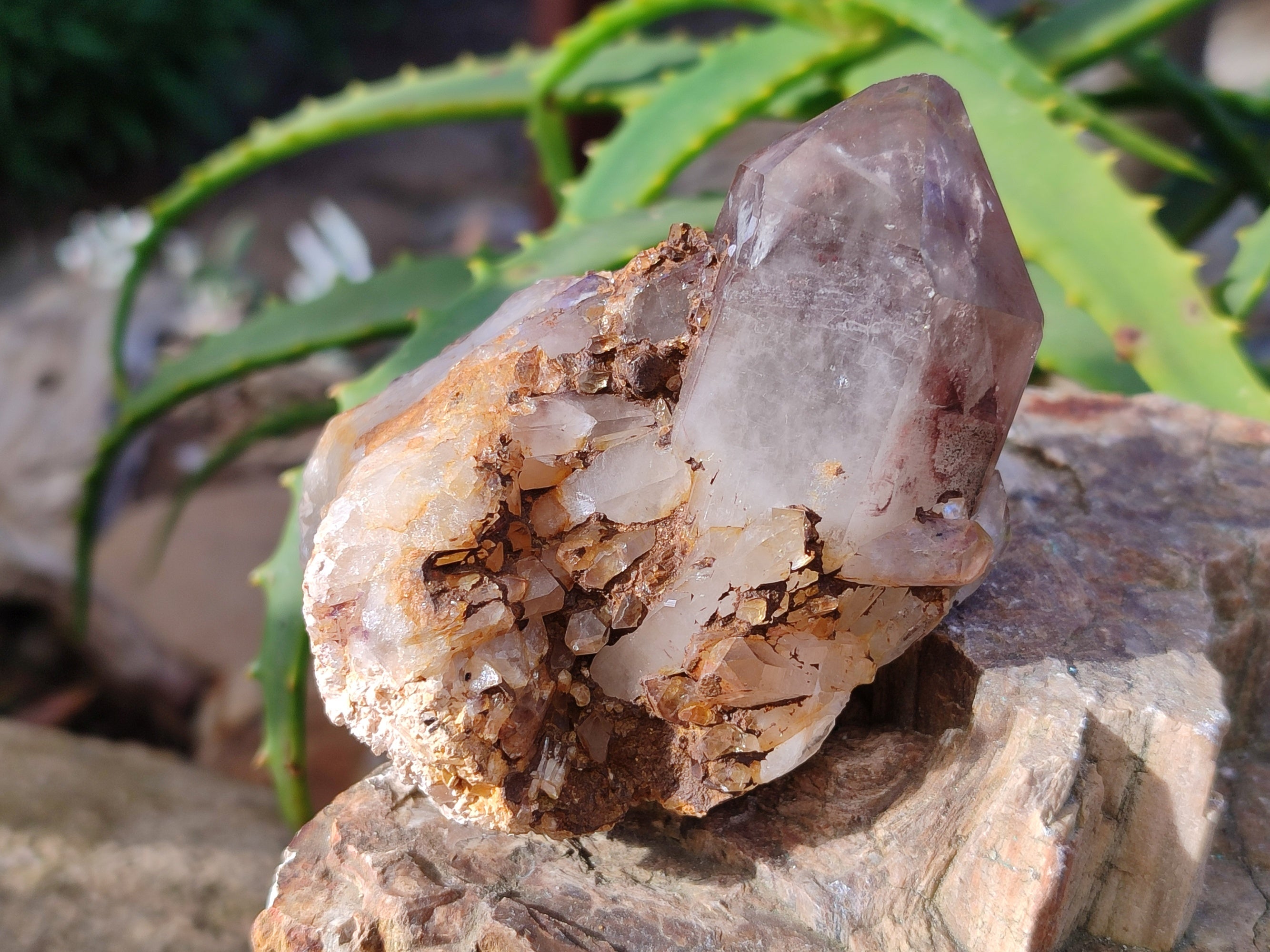 Natural Red Hematoid Quartz Clusters x 12 From Karoi, Zimbabwe - Toprock Gemstones and Minerals 