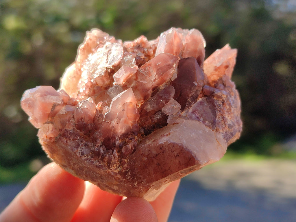 Natural Red Hematoid Quartz Clusters x 12 From Karoi, Zimbabwe - Toprock Gemstones and Minerals 