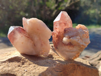Natural Red Hematoid Quartz Clusters x 12 From Karoi, Zimbabwe