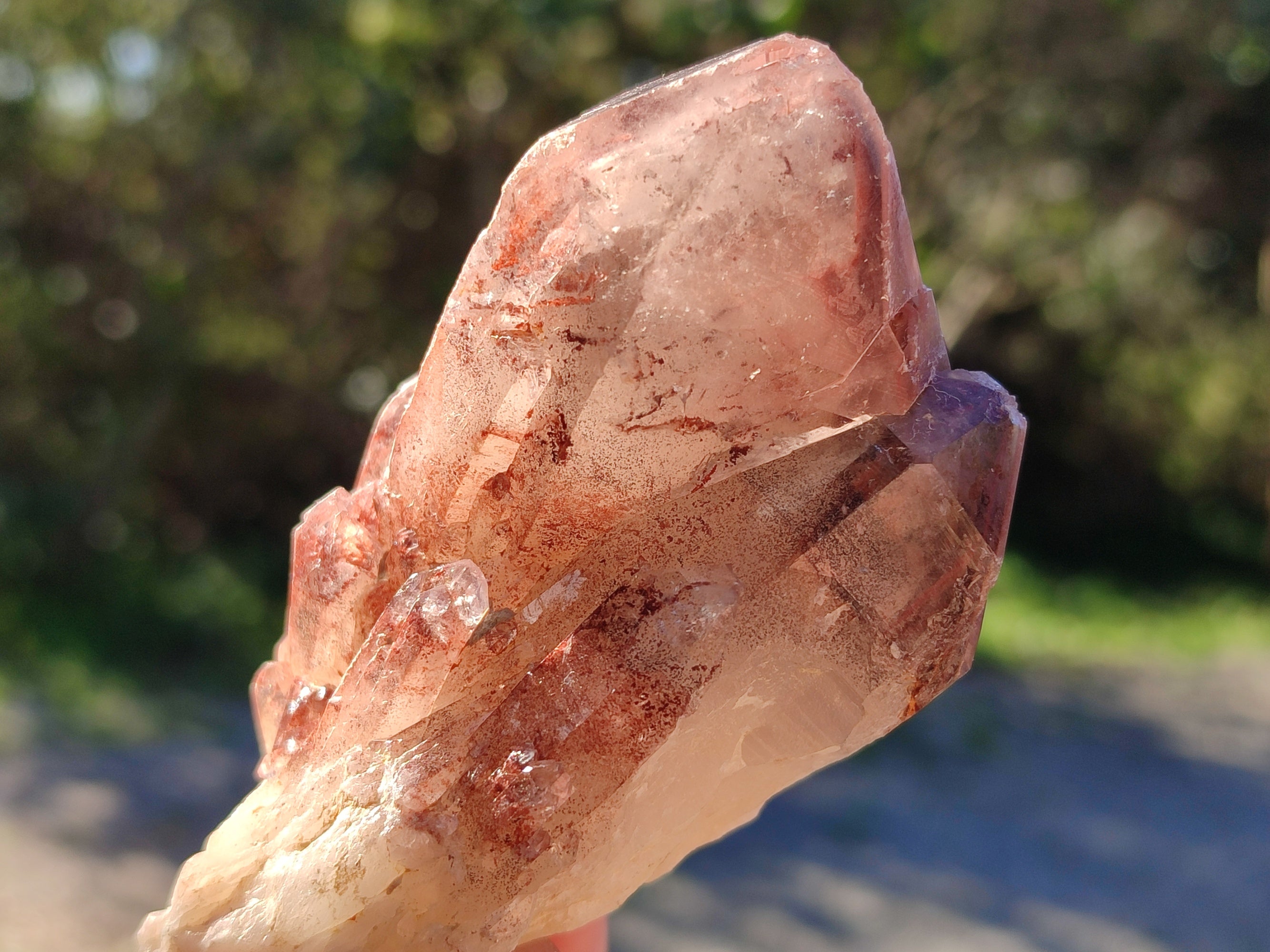 Natural Red Hematoid Quartz Clusters x 12 From Karoi, Zimbabwe - Toprock Gemstones and Minerals 