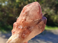 Natural Red Hematoid Quartz Clusters x 12 From Karoi, Zimbabwe