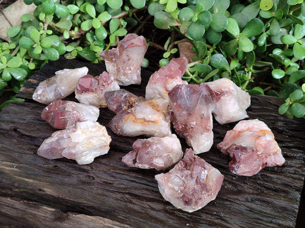 Natural Red Hematoid Quartz Clusters x 12 From Karoi, Zimbabwe