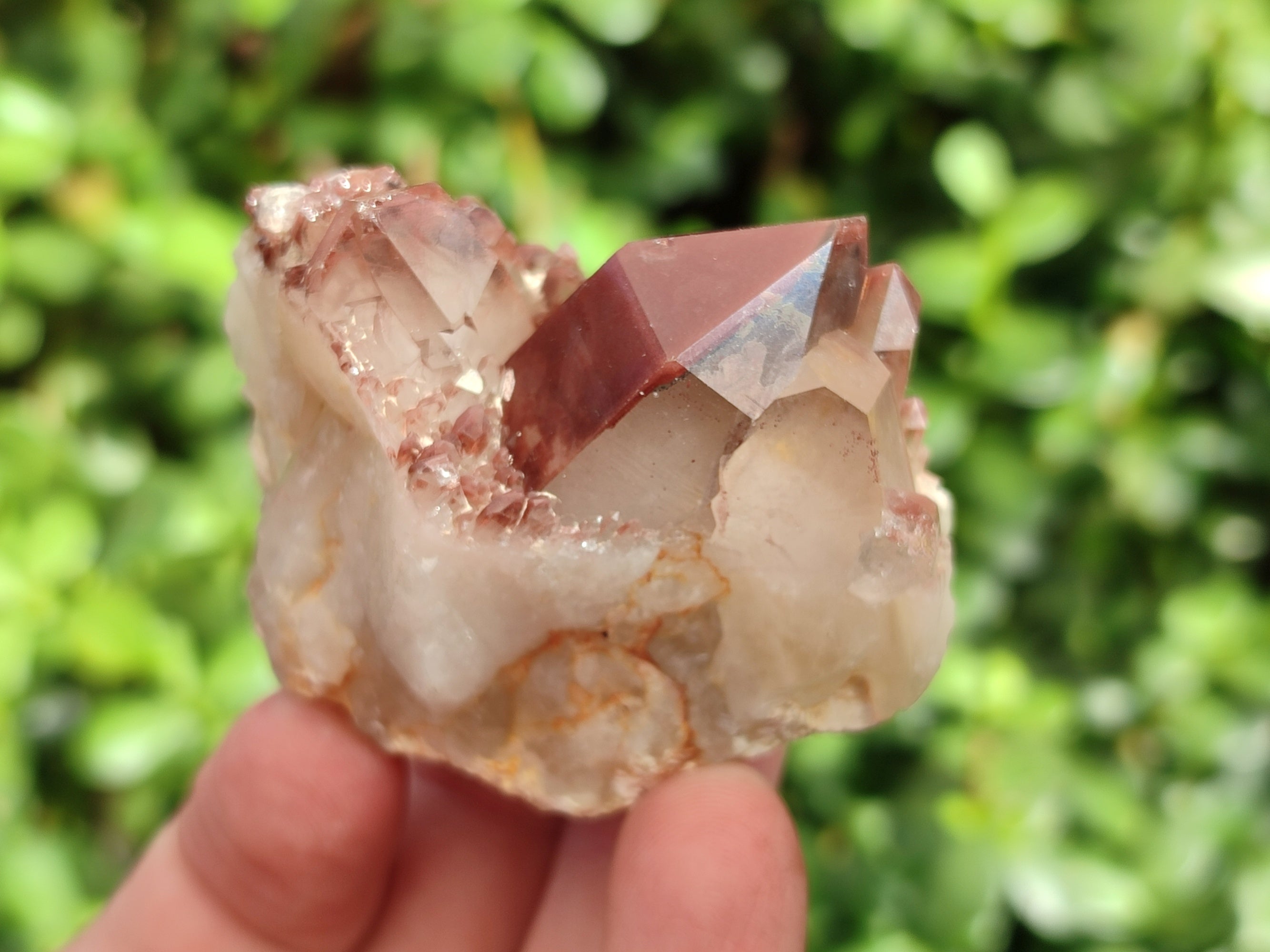 Natural Red Hematoid Quartz Clusters x 12 From Karoi, Zimbabwe - Toprock Gemstones and Minerals 