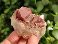 Natural Red Hematoid Quartz Clusters x 12 From Karoi, Zimbabwe