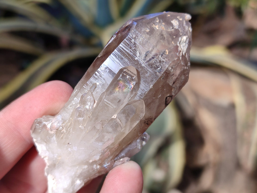 Natural Red Hematoid Quartz Clusters x 12 From Karoi, Zimbabwe - Toprock Gemstones and Minerals 