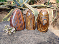 Polished Banded Tiger Iron with Tigers Eye Standing Free Forms x 3 From South Africa - Toprock Gemstones and Minerals 
