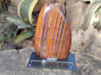 Polished Banded Tiger Iron with Tigers Eye Standing Free Forms x 3 From South Africa - Toprock Gemstones and Minerals 