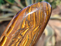 Polished Banded Tiger Iron with Tigers Eye Standing Free Forms x 3 From South Africa - Toprock Gemstones and Minerals 