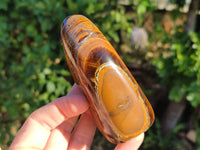 Polished Banded Tiger Iron with Tigers Eye Standing Free Forms x 3 From South Africa - Toprock Gemstones and Minerals 