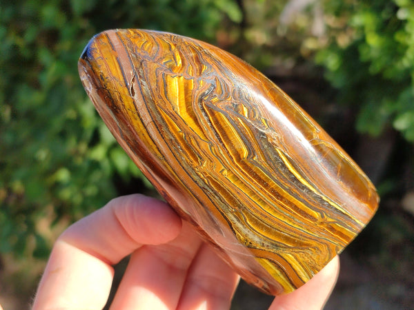 Polished Banded Tiger Iron with Tigers Eye Standing Free Forms x 3 From South Africa
