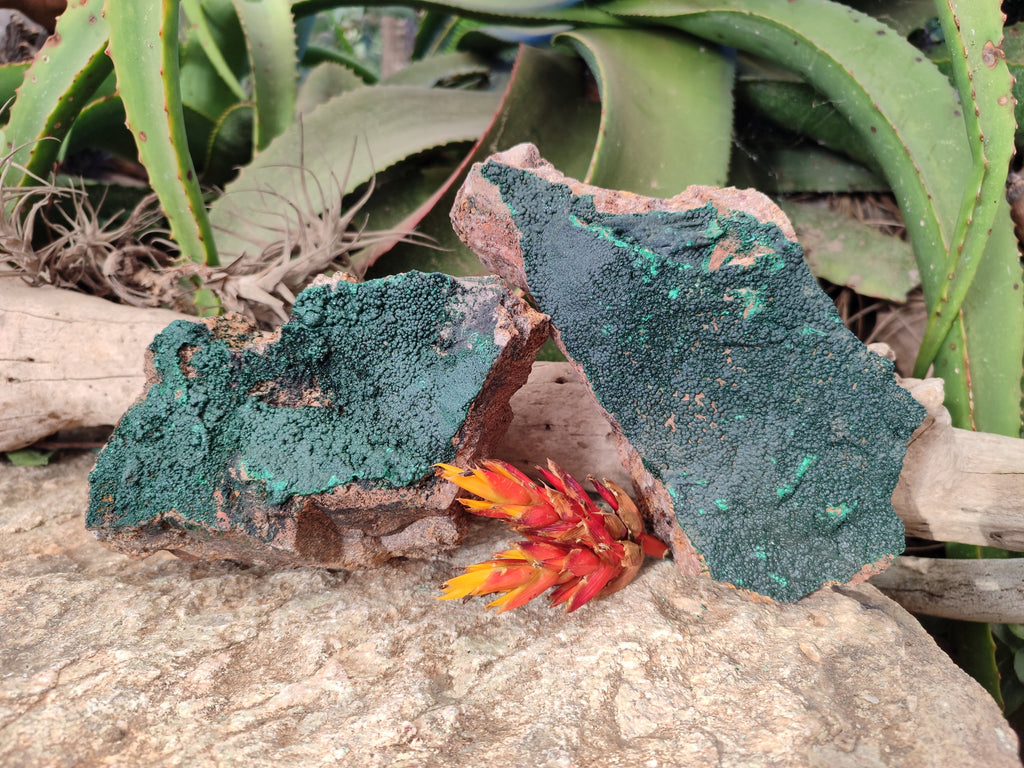 Natural Crystalline Malachite Specimens x 2 From Tenke Fungurume, Congo - Toprock Gemstones and Minerals 