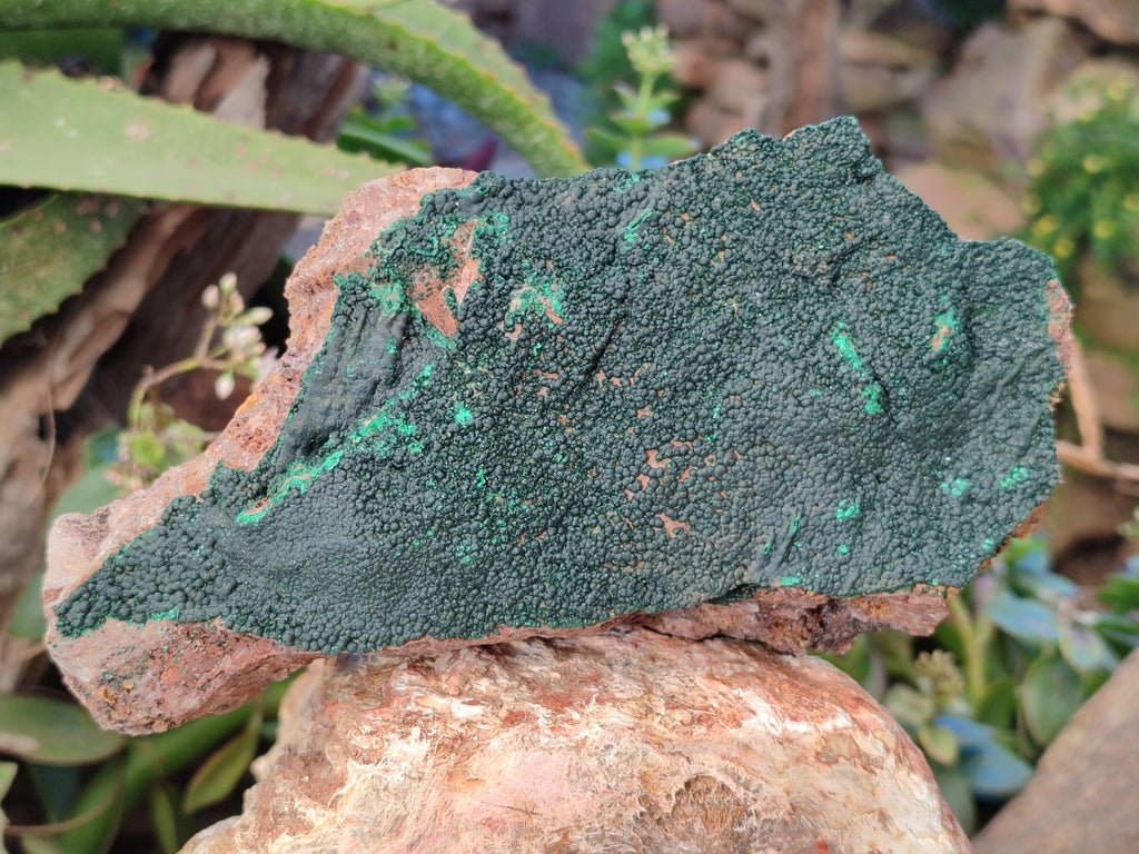 Natural Crystalline Malachite Specimens x 2 From Tenke Fungurume, Congo - Toprock Gemstones and Minerals 