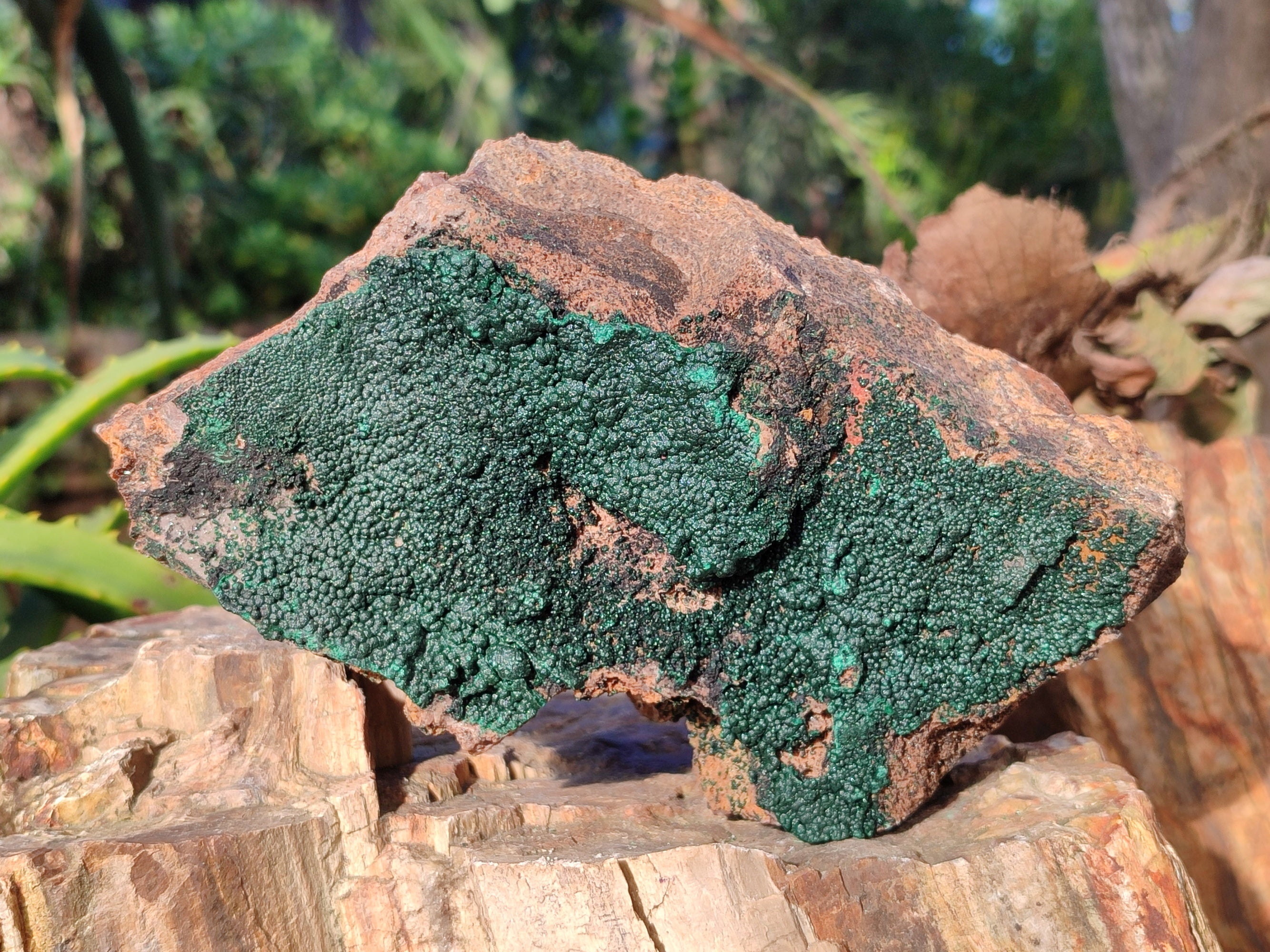 Natural Crystalline Malachite Specimens x 2 From Tenke Fungurume, Congo - Toprock Gemstones and Minerals 