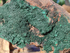 Natural Crystalline Malachite Specimens x 2 From Tenke Fungurume, Congo - Toprock Gemstones and Minerals 