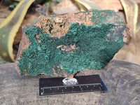 Natural Crystalline Malachite Specimens x 2 From Tenke Fungurume, Congo - Toprock Gemstones and Minerals 