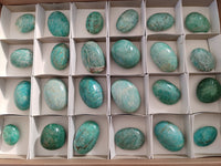 Polished Amazonite Palm Stones x 24 From Madagascar
