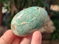 Polished Amazonite Palm Stones x 24 From Madagascar