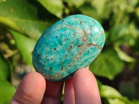 Polished Amazonite Palm Stones x 24 From Madagascar
