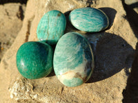 Polished Amazonite Palm Stones x 24 From Madagascar