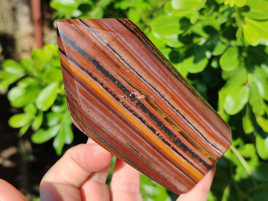 Polished Banded Tiger Iron Points x 2 From Northern Cape, South Africa - Toprock Gemstones and Minerals 
