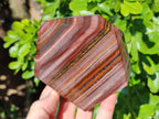 Polished Banded Tiger Iron Points x 2 From Northern Cape, South Africa - Toprock Gemstones and Minerals 