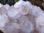 Natural Cactus Flower Amethyst Spirit Clusters x 1 From South Africa - Toprock Gemstones and Minerals 