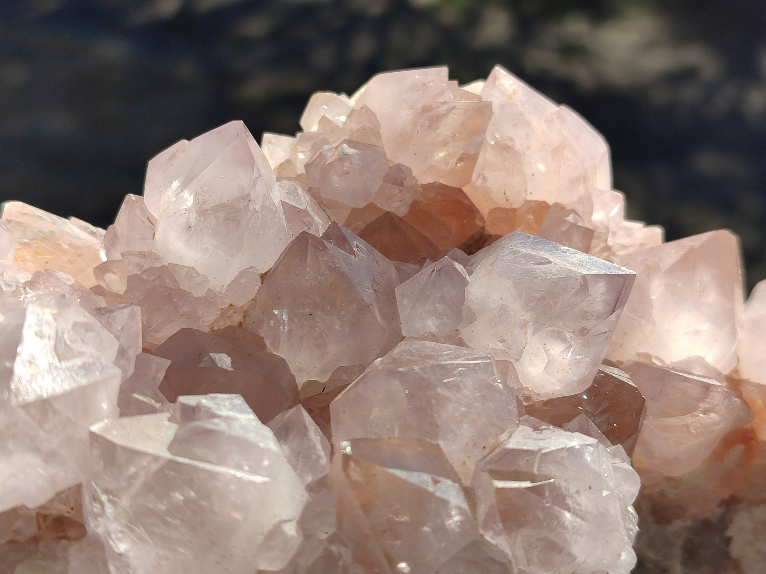 Natural Cactus Flower Amethyst Spirit Clusters x 1 From South Africa - Toprock Gemstones and Minerals 
