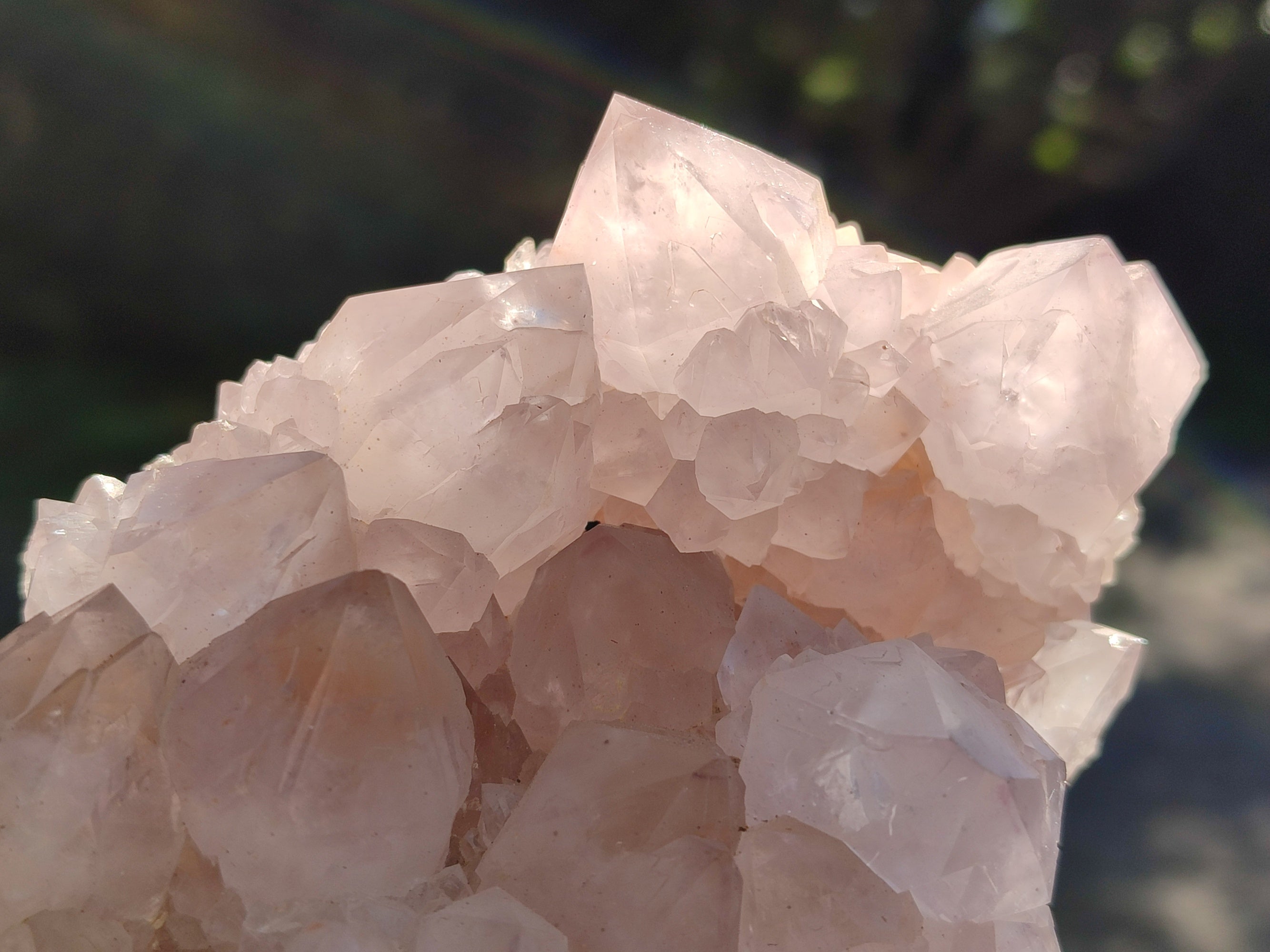 Natural Cactus Flower Amethyst Spirit Clusters x 1 From South Africa - Toprock Gemstones and Minerals 