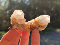 Natural Mix of Spirit Quartz Clusters x 35 From Boekenhouthoek, South Africa - Toprock Gemstones and Minerals 