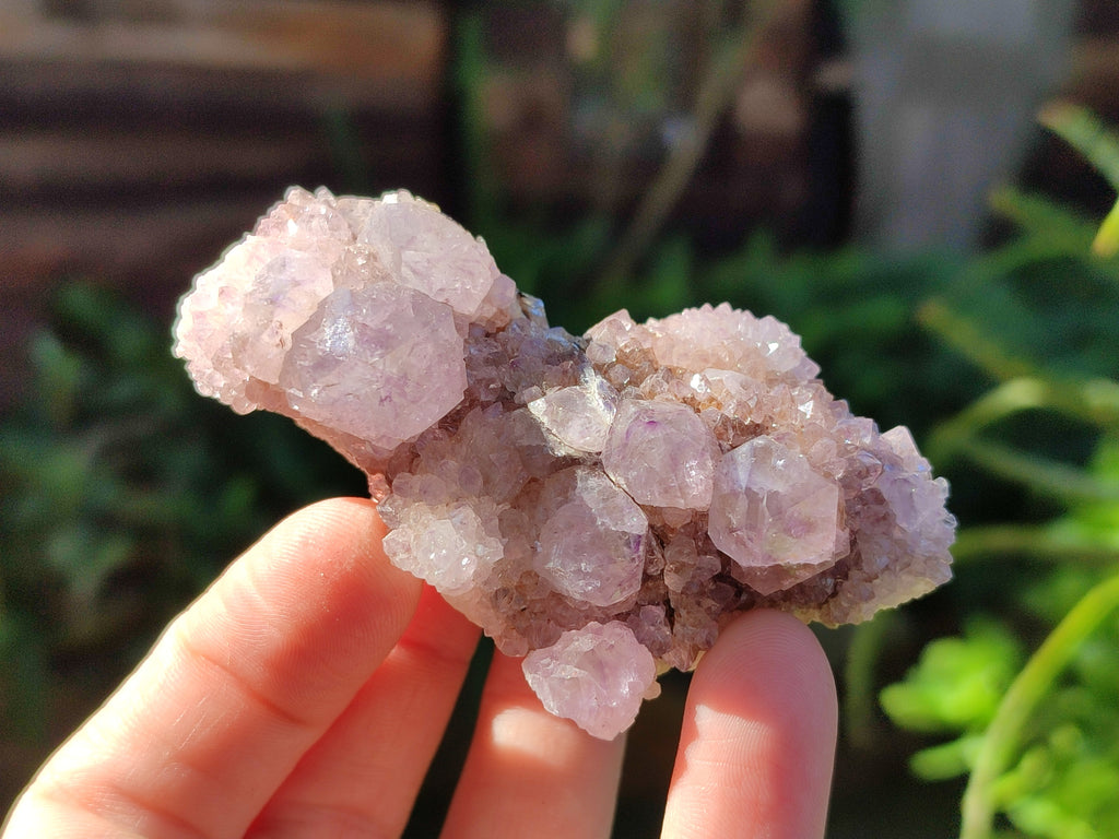 Natural Mix of Spirit Quartz Clusters x 35 From Boekenhouthoek, South Africa - Toprock Gemstones and Minerals 