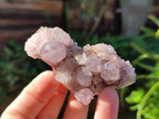 Natural Mix of Spirit Quartz Clusters x 35 From Boekenhouthoek, South Africa - Toprock Gemstones and Minerals 