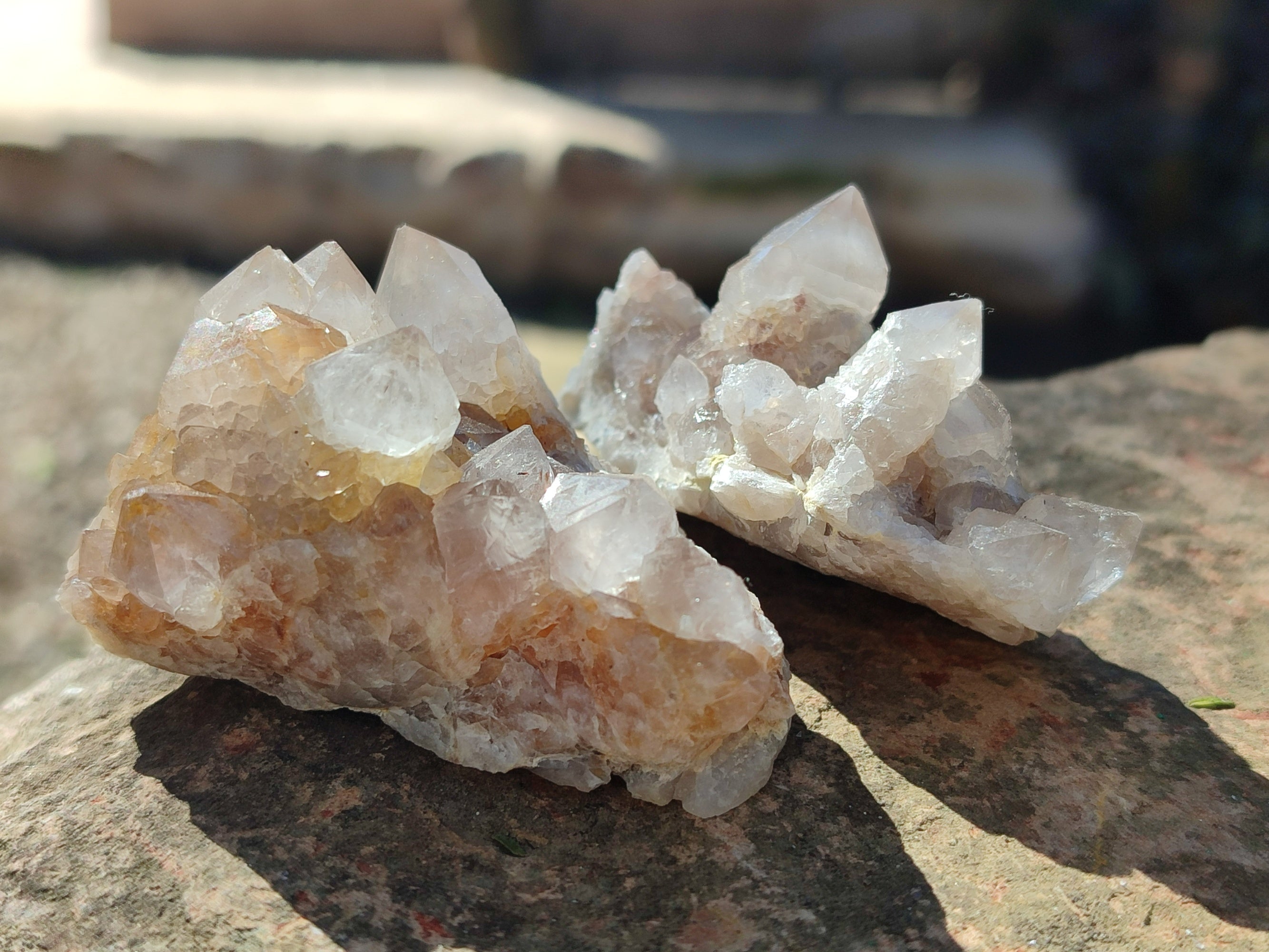Natural Mix of Spirit Quartz Clusters x 35 From Boekenhouthoek, South Africa - Toprock Gemstones and Minerals 