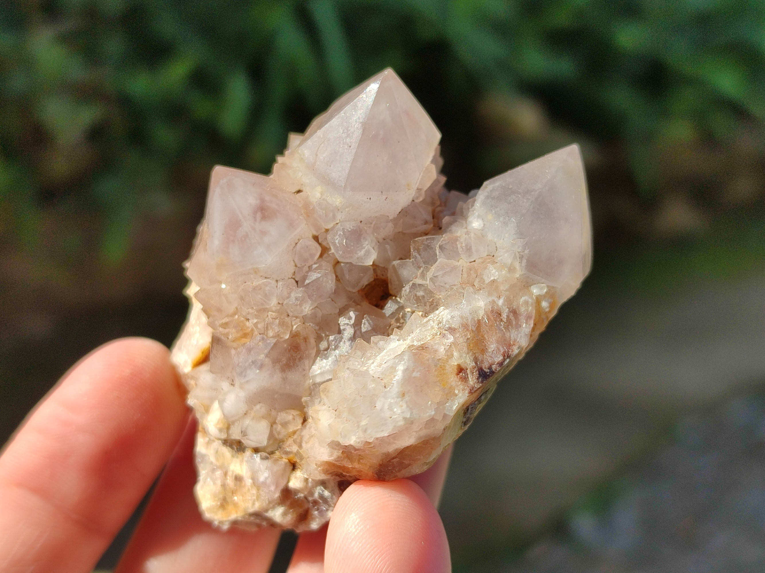 Natural Mix of Spirit Quartz Clusters x 35 From Boekenhouthoek, South Africa - Toprock Gemstones and Minerals 
