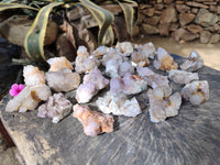 Natural Mix of Spirit Quartz Clusters x 35 From Boekenhouthoek, South Africa - Toprock Gemstones and Minerals 