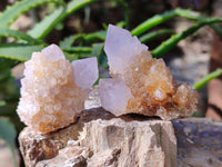 Natural Mix of Spirit Quartz Clusters x 35 From Boekenhouthoek, South Africa - Toprock Gemstones and Minerals 