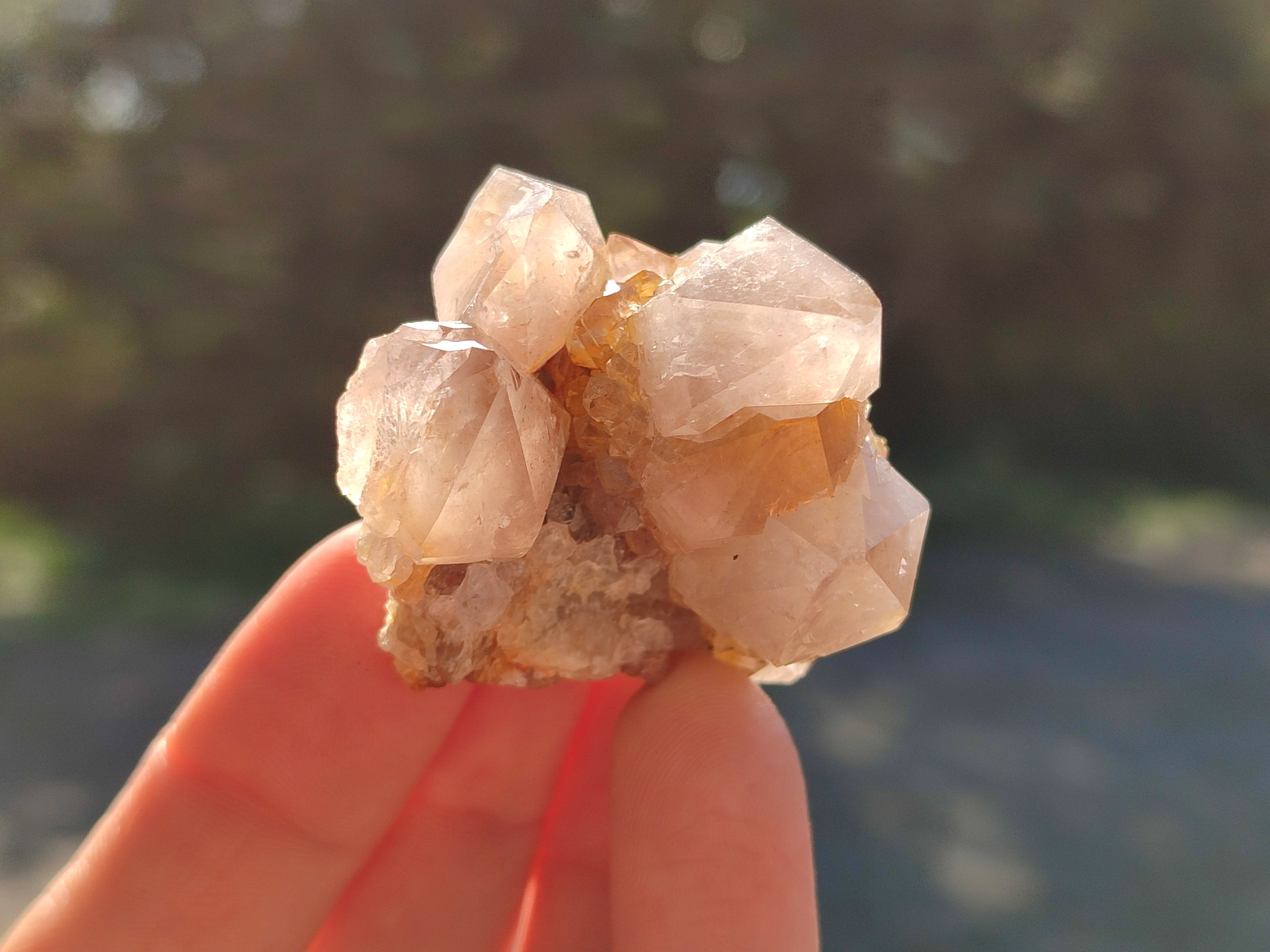 Natural Mix of Spirit Quartz Clusters x 35 From Boekenhouthoek, South Africa - Toprock Gemstones and Minerals 